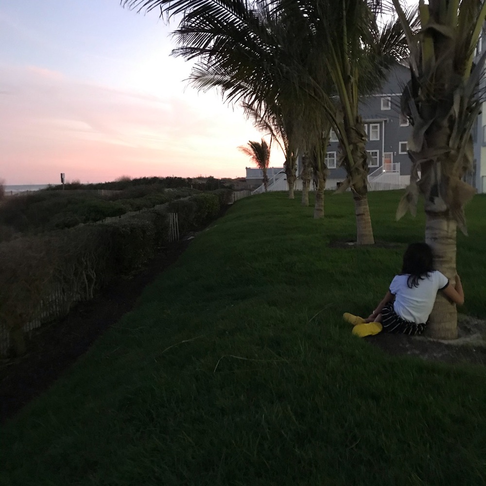 Meet your Posher, Susi